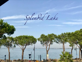 Splendid Lake Desenzano Del Garda